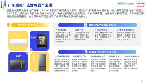 亿邦智库联合天猫家电发布 中国家电产业带白皮书